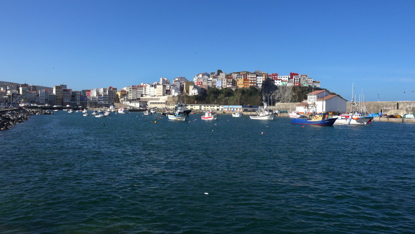 View of the town and port of Malpica, animated by flocks of seagulls between the boats. Galicia. Spain
