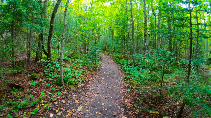 Hiking on Bruce Trail in Lion