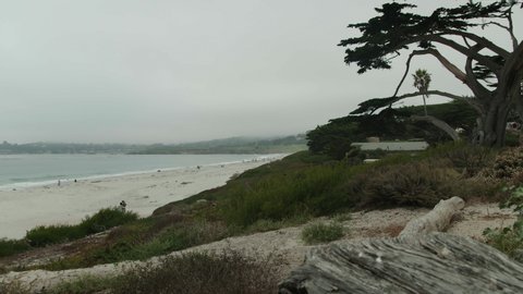 Foggy & Cloudy Day at the Beach in Carmel, CA