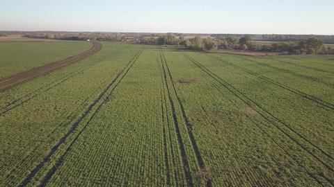 Irrigation Equipment Watering Freshly Seeded Stockvideos Filmmaterial 100 Lizenzfrei Shutterstock