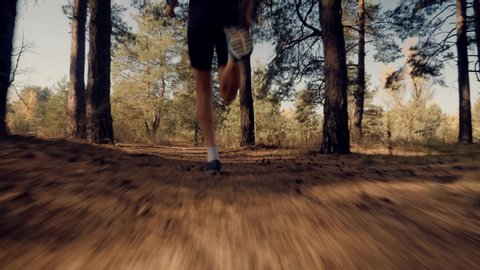 Marathon Runner Jog On Forest.Fitness Running Man Sport Workout.Triathlete Running,Sprinting And Endurance Workout Training.Runner Man Fit Athlete Legs Jogging Trail Triathlon.Sport Recreation Concept
