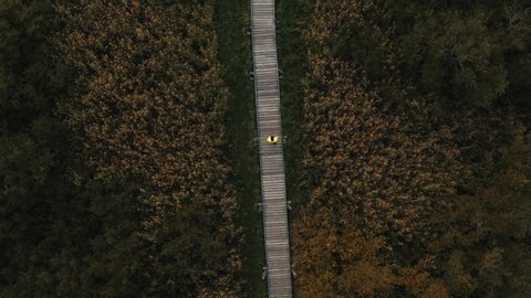 Young man in hipster yellow jacket on the island of Lammassaari, Helsinki, Finland - Aerial shot of beautiful nature in Scandinavian