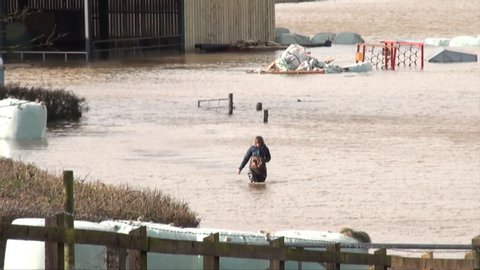 Lyng / United Kingdom (UK) - 02 09 2014: A woman in waders walks through waist high water on a flooded farm