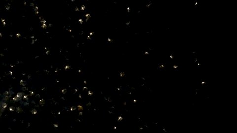 Gold floating particle bokeh on dark background, abstract bokeh for holiday, christmas or new year