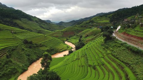 Aerial top view of fresh paddy rice terraces, green agricultural fields in countryside or rural area of Mu Cang Chai, mountain hills valley at sunset in Asia, Vietnam. Nature landscape background.