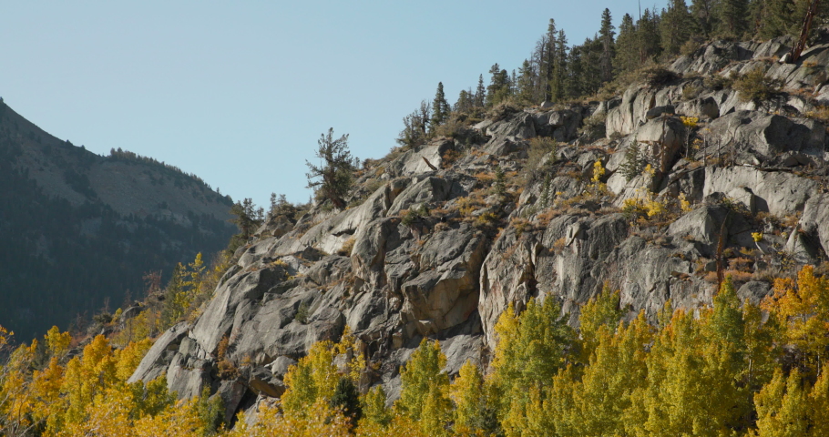 Beautiful fall colors in South Lake and surrounding area at Eastern Sierra California