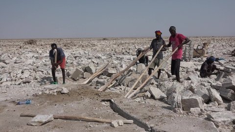  Mek'ele, Dallol / Ethiopia 07/12/2017: Ethiopian workers mine salt in the Danakil Desert.