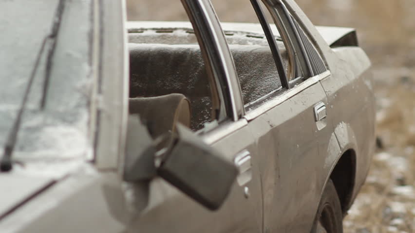 Hooligans kicked a car door