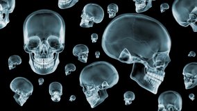 Multiple skulls X-Ray spinning 360 degrees. Seamless loop. 3D animation. 4K - Powered by Shutterstock - Get 15% off with code: PIKWIZARD15