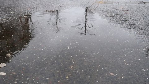 Rain falling on a small puddle of water on the street with reflection