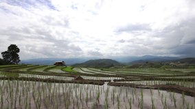 Beautiful 4k footage Time lapse of rice terrace with paddy field, Rainstorm and Clouds in Chiang Mai northern of thailand.