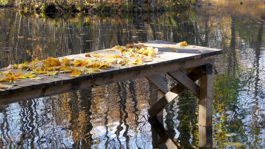 Autumn. Yellow leaves on the planked footway near the Pond