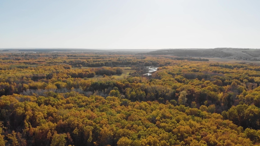 Aerial view beautiful autumn forest with yellow and red trees. Autumn in forest, aerial top view look down