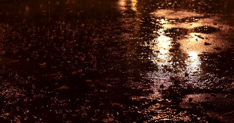 Rain drops drip in evening on asphalt outdoor with yellow light and leaves on ground in autumn forming puddle 