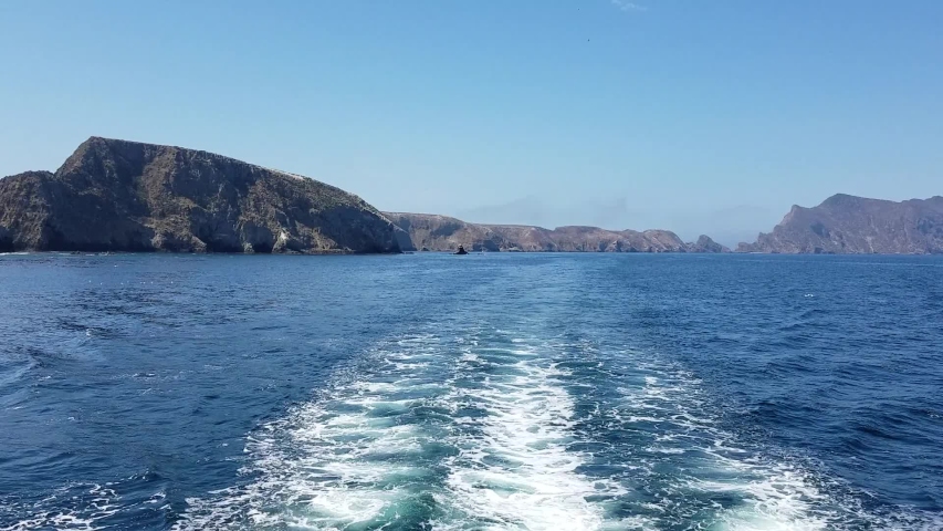 Boat tour on the Pacific ocean around the Anacapa island, in the Channel Islands National Park, California, USA.