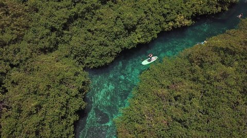 Aerial of Male on Paddle Board in Wonderful Casa Cenote Crystal Clear Water, Tulum Mexico