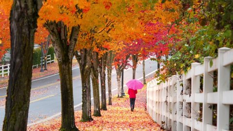 Young girl walking on sidewalk with umbrella while autumn leaves falling