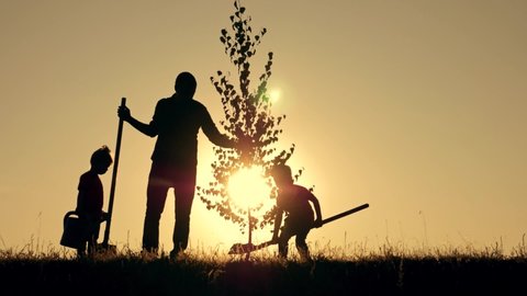 Agriculture. Farmer with his family is planting tree. Family silhouette. Agriculture concept. Happy family of farmer. Silhouette of father and two children planting and watering tree in park at sunset