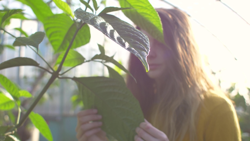 Woman examinating a plant inside of a greenhouse