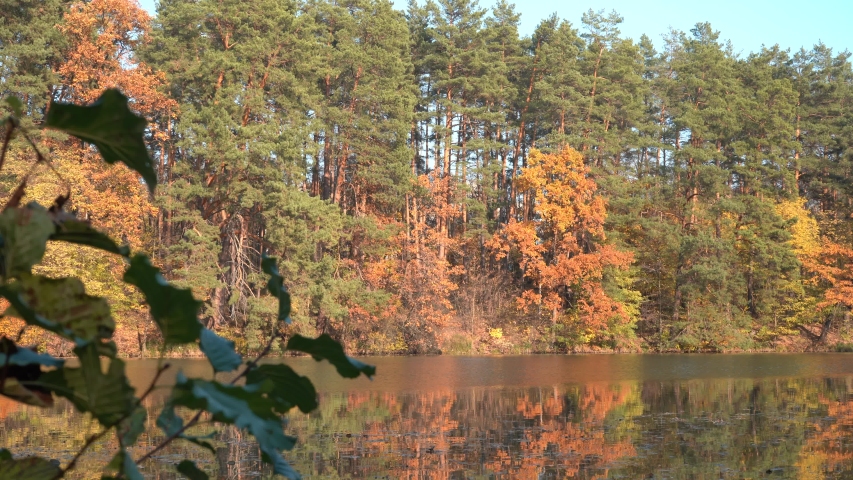 Lake in the autumn forest. Forest lake in the autumn forest. Autumn landscape with a lake and forest.