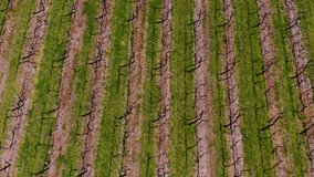 Aerial drone videos of a winery in the Illawarra, NSW, Australia