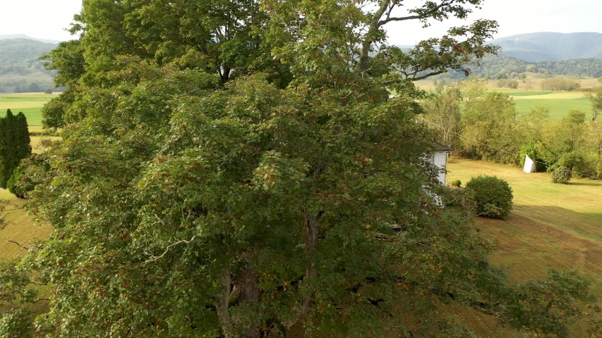 Aerial closeup slide to right from trees to front of the Pearl S. Buck birthplace museum in Hillsboro, West Virginia.