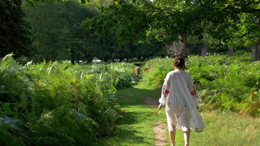 Slow motion: a woman and a deer walking toward each other. Peaceful moment in Richmond Park in London 1080 HD