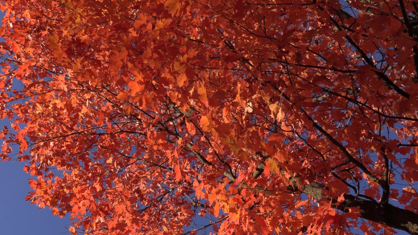 Fall in colours. Fall in colours