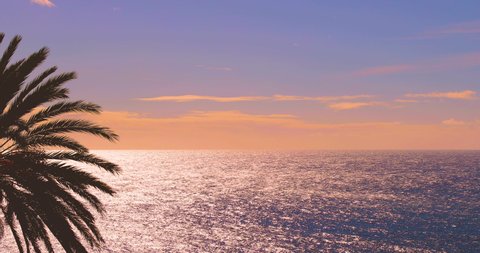 Ocean sunset over water horizon. Sea nature summer sunrise. Palm silhouette and sea water surface. Ocean sun set landscape. Plam tree sunset seascape horizon. Sunrise, sunset sea, ocean background.