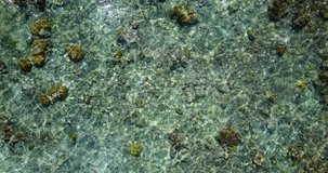 Drone video of the ocean floor, rocks at the bottom of the ocean