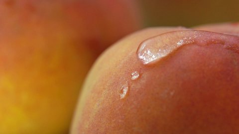 Drop of water flows down the surface of a ripe juicy peach