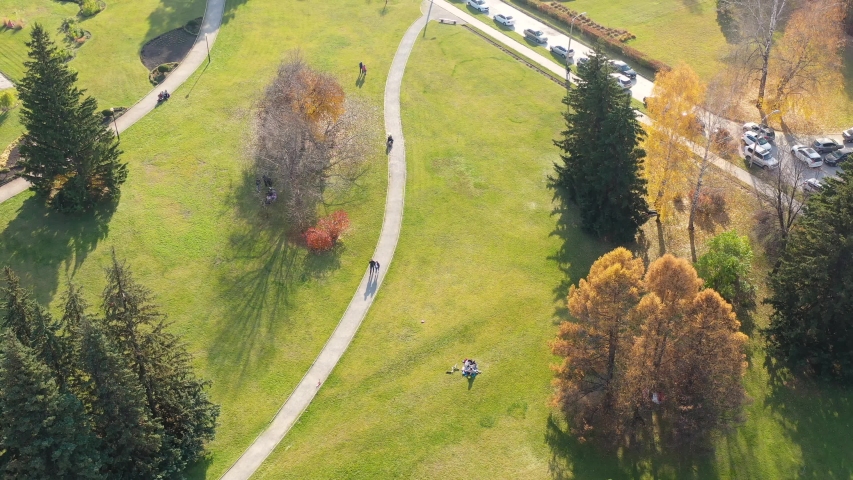 People walk in the Park on a warm autumn day. The wind stirs the trees. Shooting from a height above the Park