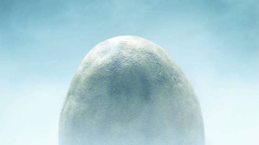 Large Egg Cold Storage Stock Footage Video 100 Royalty free 