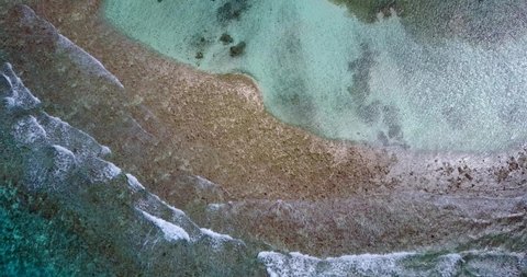 Dead Corals On Coral Reef Due To Global Warming, overfishing and ocean acidification, aerial high angle drone shot