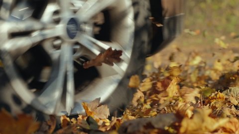 Colorful autumn foliage flies out from under the car wheels. Powerful car driving fast along an empty road over yellow leaves at the park. Slow-motion closeup shot