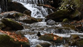 Video shot of waterfall cascade on river flowing through autumn forest