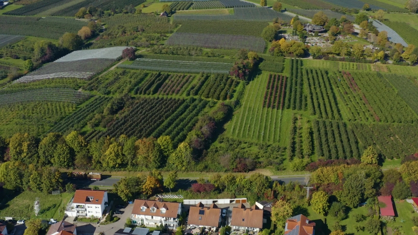 Aerial view of the city Immenstaad beside the lake Constance in Germany on a sunny day in autumn, fall. Pan to the left around vineyards.
