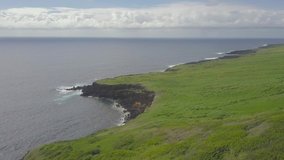 Drone video on The Big Island of Hawaii, flying over green and lava cliffs.
