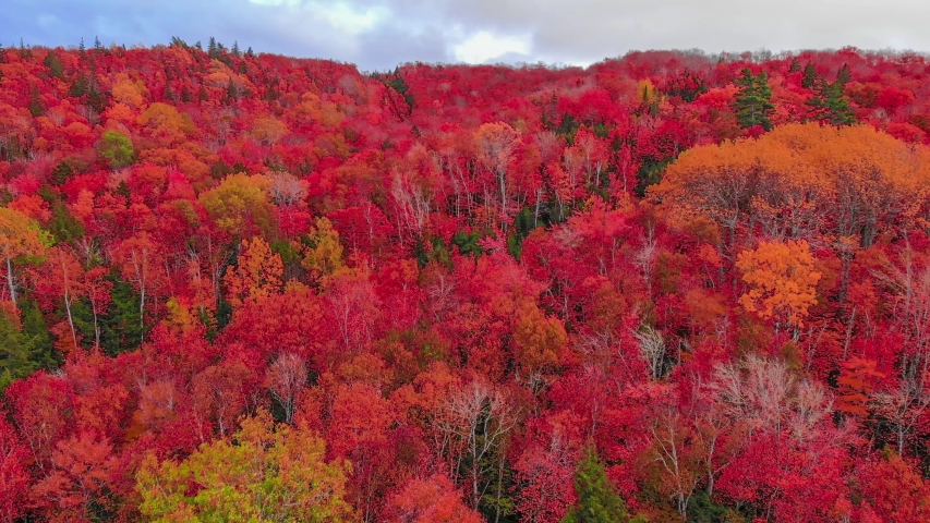 Fall Foliage- Keppoch Mountain in October Royalty-Free Stock Footage #1039403477