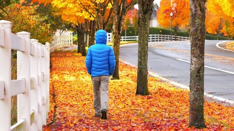 Man walking on sidewalk while autumn leaves falling down

