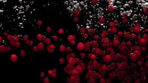 Red currants are falling into transparent water on black background. Fresh organic berries splashing in aquarium. Grocery store, healthy food, diet, vegetarianism, air bubbles. Slow Motion. Close-up.
