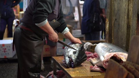 Fishermen cuts tuna cheeks with a large traditional Japanese knife at the Tsukiji Fish Market (Tokyo, Japan).  Largest wholesale fish and seafood market in the world.