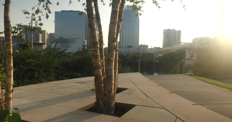 Trees at sunset near the Nashville skyline