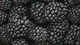 Blackberry closeup background. Fresh Ripe organic black berries rotation backdrop close-up. Bio Blackberries top view, flat lay background. Macro shot. Market. Vegan food. Slow motion 4K UHD top view
