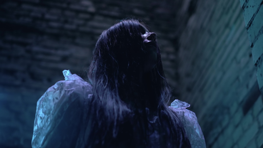 Sabbat Of The Witch Vndb