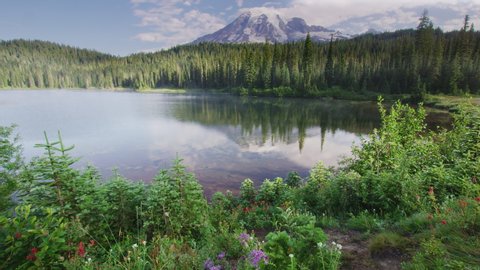 Wide angle view of Mount Rainier reflecting in Reflection Lake with wildflowers in foreground