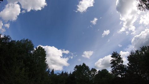 Timelapse with cloudy sky and trees