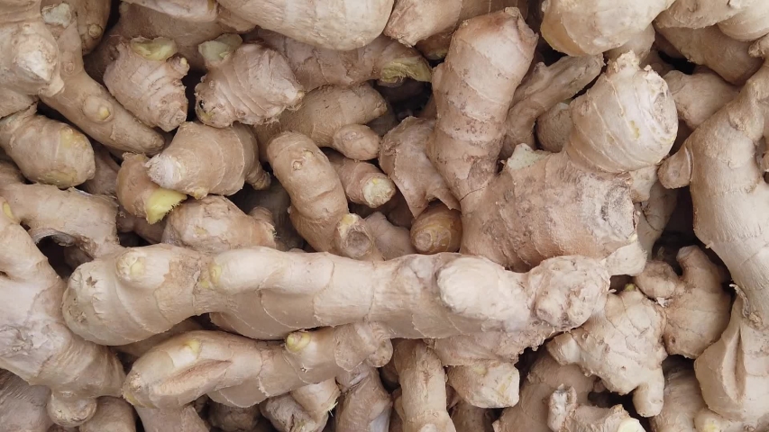 Slow motion tracking shot of pile of root ginger, Zingiber officinale, on a market stall Royalty-Free Stock Footage #1039493942