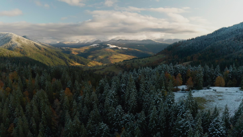 Beautiful Autmn forest shining at sunset. Flying above Colorful mountain flora