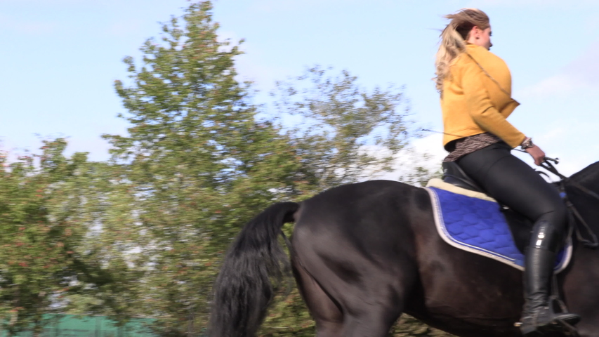 31 Equestrian pants Stock Video Footage 